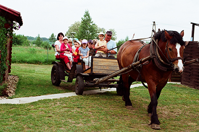 Vinaora Nivo Slider 3.x