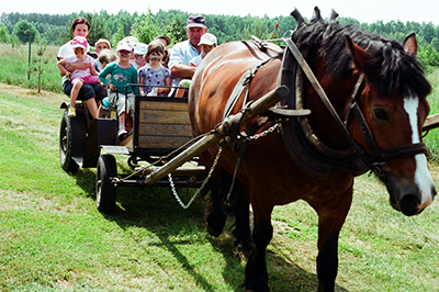 Vinaora Nivo Slider 3.x