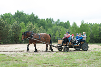 Vinaora Nivo Slider 3.x