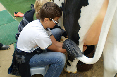 Vinaora Nivo Slider 3.x