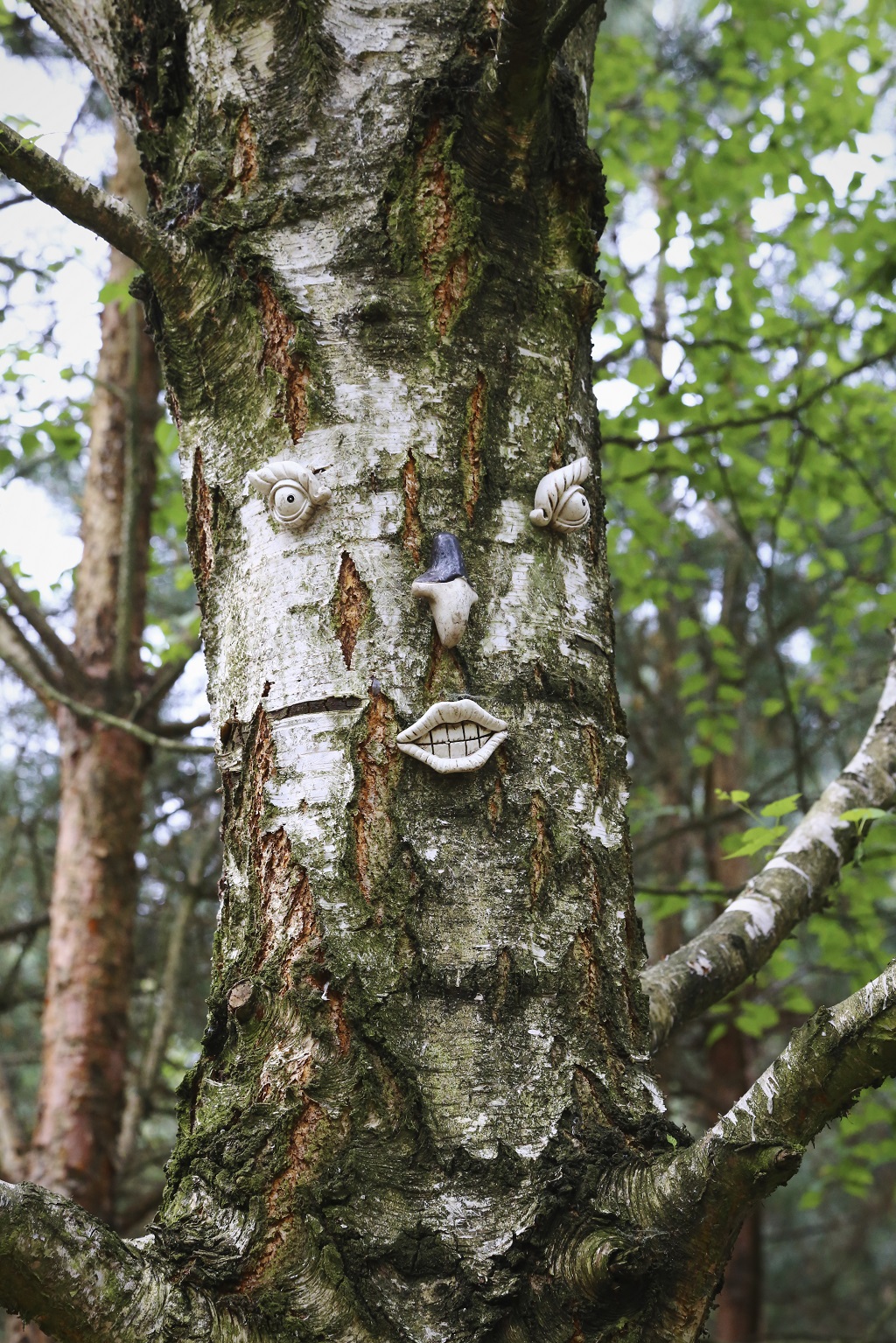 Vinaora Nivo Slider 3.x