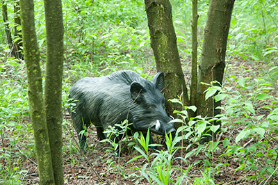 Vinaora Nivo Slider 3.x